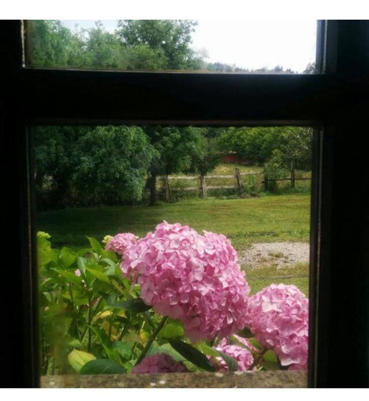 Casa Rural El Pozo Tremeo Sona Dış mekan fotoğraf